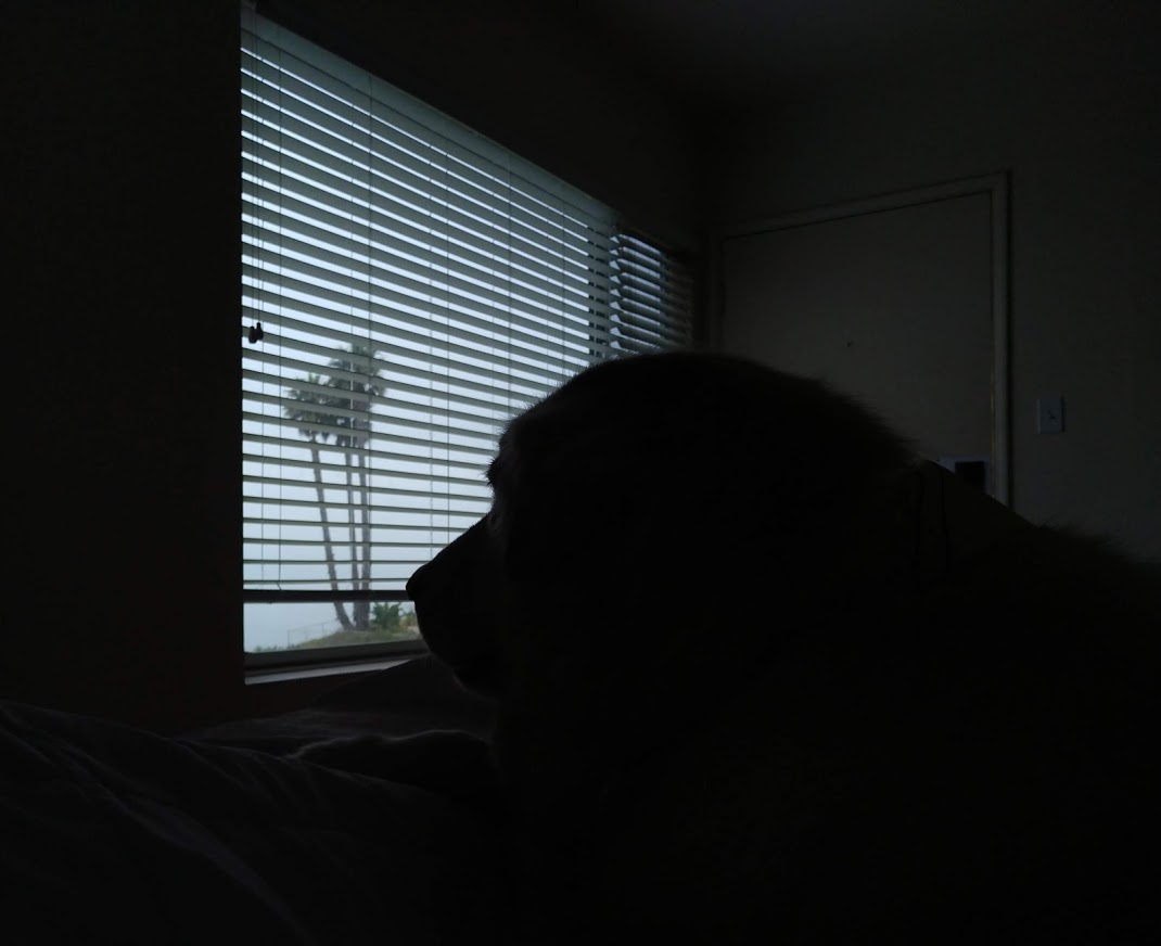 lucyatdawn.jpg